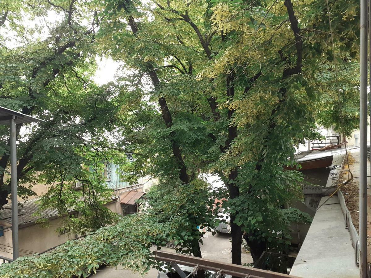 Woodmood Hostel ティビリシ エクステリア 写真